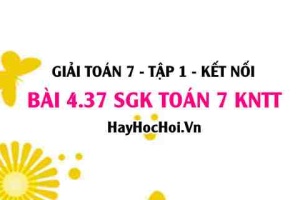 Bài 4.37 SGK Toán 7 tập 1 Kết nối tri thức